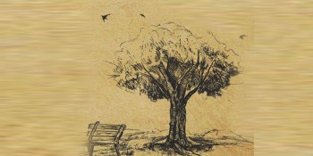 बुढो रुख [कविता]