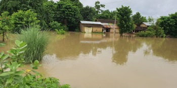 नेपालको कैलालीमा बाढीका कारण १ हजार ५८ घरधुरी डुबानमा