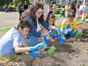 लन्डनस्थित नेपाली दूतावासमा वृक्षारोपण कार्यक्रम